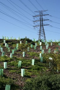 Stony Creek nature reserve