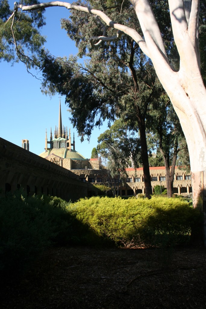 View from the grassy quadrangle of the college.
