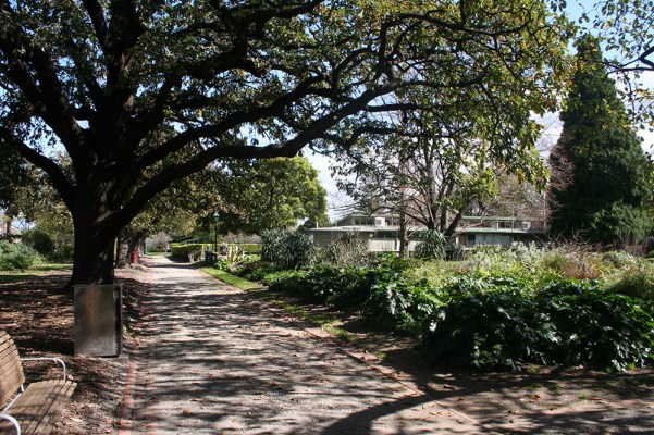 St_Vincent_Place_oaks